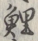 鯉 위치 확인됨