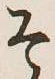 글자 そ