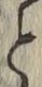 文字と