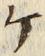 「ケ」字