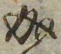 位置 確認된 成