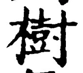 글자 樹
