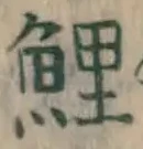 字鯉