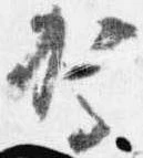 駕の位置