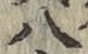 글자 八