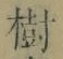 글자 樹