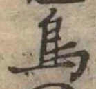 鳥 위치 확인됨