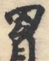 Đã định vị 罥