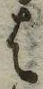 𛂦の位置