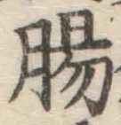 文字腸
