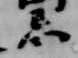 Đã định vị 忌
