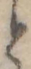 位置 確認된 と