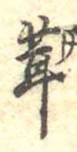 茸 위치 확인됨