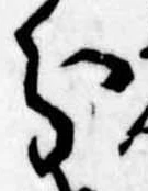 位置定マレル分