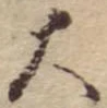 大 위치 확인됨