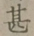 글자 甚
