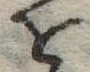 位置定マレル𛄜