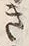 文字 き