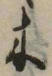 位置 確認된 木