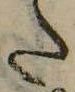 𛁠 위치 확인됨