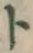 字ト