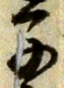글자 子