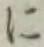 字に