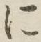 字に