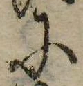 𛂋 위치 확인됨