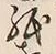文字紙