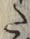 Character た