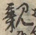 親 위치 확인됨