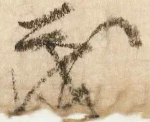 已定位茂