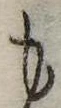 位置定マレル𛃚