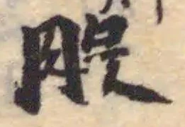 股 위치 확인됨