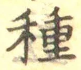 글자 種