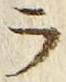 「ラ」字