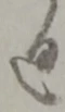 通 위치 확인됨