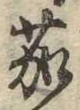 位置定マレル茄