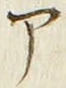 「ア」字