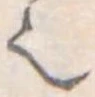 𬻿 위치 확인됨