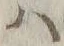 字ハ