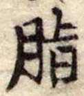 Đã định vị 脂