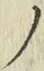 字ノ