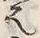 文字法
