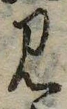 Đã định vị 見