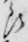 “食”字