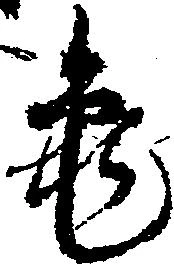 已定位亀