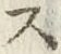字ス