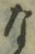 文字な